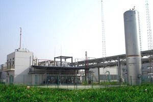 5de4a9328d43e.jpg 4.jpg